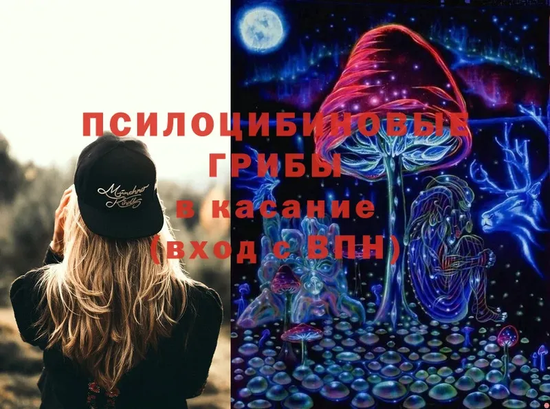 сколько стоит  Боровск  Псилоцибиновые грибы Psilocybine cubensis 